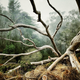 Illustration for article titled These Are Some of the Most Amazing iPhone Photos of the Year